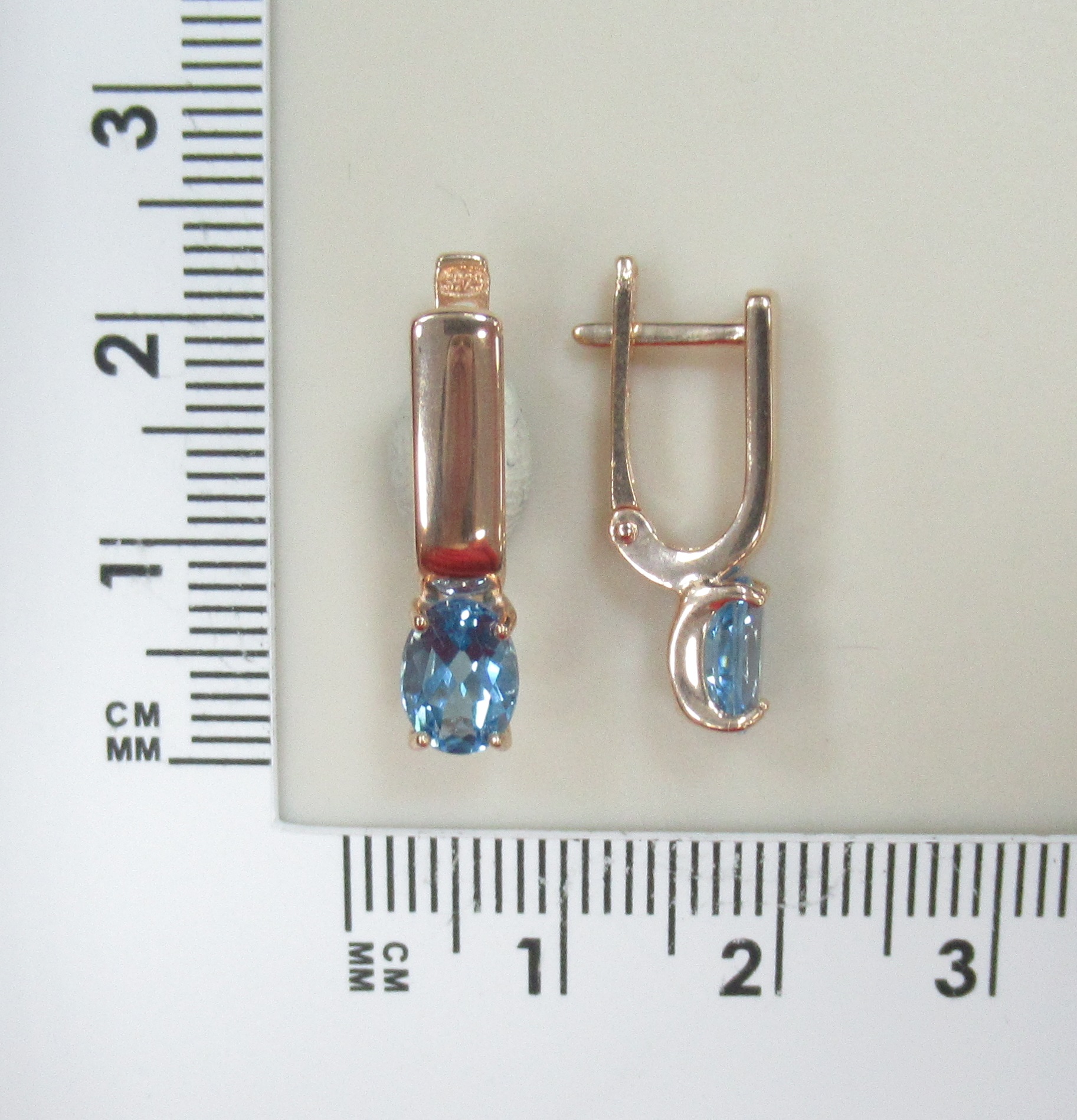 10522-004341 Серьги (Ag 925)